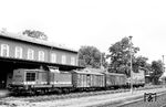 110 059 (Bw Weißenfels/ESt Naumburg) mit einem Nahgüterzug im Bahnhof Straußfurt, der anschließend auf die "Pfefferminzbahn" in Richtung Sömmerda-Großheringen ausfuhr. (03.08.1989) <i>Foto: Thomas Fischer</i>