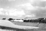 An einem schönen Sommernachmittag fährt ein Zug mit einer preußischen P 8 von Breslau nach Frankfurt (Oder) durch die Getreidefelder bei Sommerfeld. Als Ergebnis der Potsdamer Konferenz wurde Sommerfeld 1945 Teil Polens und bekam den offiziellen polnischen Namen Lubsko. (1938) <i>Foto: RVM</i>