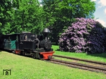 Die Lok "DIANA" der Waldeisenbahn Muskau (WEM) wurde 1912 von Borsig hergestellt. Sie erhielt 1951 nach der Übernahme durch die Deutsche Reichsbahn die Betriebsnummer 99 3312 und ist seit 1998 wieder betriebsfähig auf dem Streckennetz der Museumsbahn im Einsatz. (24.05.2015) <i>Foto: Andreas Höfig</i>