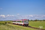 VT 71 der Norddeutsche Eisenbahngesellschaft (NEG) auf dem Weg nach Dagebüll Mole am Kiellandsdeich bei Maasbüll. (06.06.2022) <i>Foto: Thorsten Eichhorn</i>